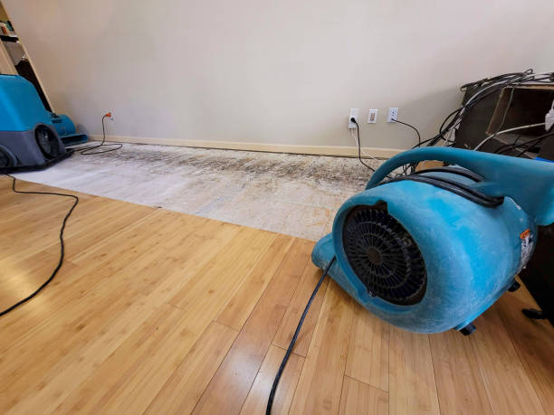 Professional Basement Flood Cleanup technician working in Mountain Iron, MN